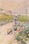 Carl Larsson In the Kitchen Garden oil painting picture wholesale